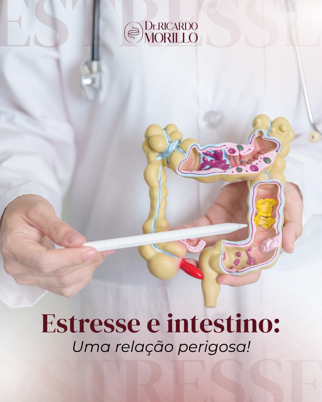 Estresse e intestino
